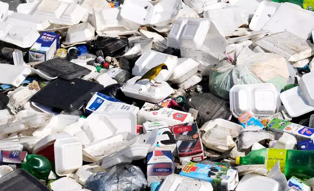A bird is seen amongst piles of plastic waste and debris along the Jukskei River in Alexandra township, Johannesburg, South Africa, Friday, Sept. 11, 2026. (AP Photo/Themba Hadebe)