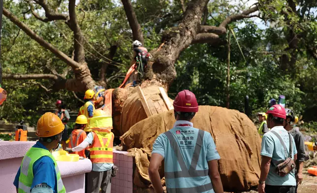 Moses noted that CSHK strongly supports employees in volunteering and provides volunteer leave, allowing staff to serve the community. Photo source: CSHK