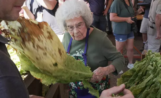 Ruth Coats, the oldest contestant, hands a tobacco leaf to a "stringer" during the annual tobacco stringing contest at the State Fair in Raleigh, N.C., on Friday, Oct. 16, 2026. (AP Photo/Allen G. Breed)