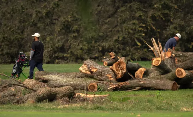 Golfers hit from the fairway near log sections cut from trees at the East Potomac Golf Links, Monday, Oct. 12, 2026, in Washington. (AP Photo/Mark Schiefelbein)