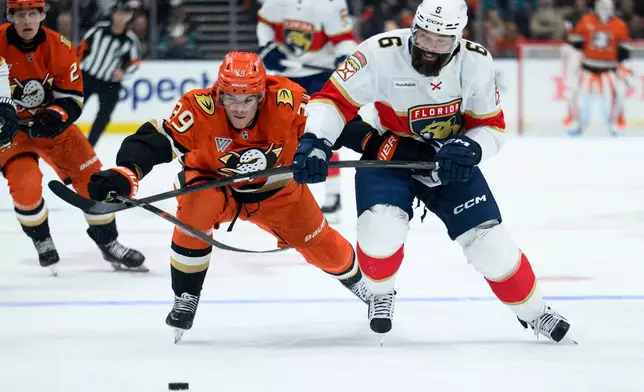 Florida Panthers defenseman Radko Gudas (6) and Anaheim Ducks left wing Jeff Malott (39) vie for the puck during the second period of an NHL hockey game, Sunday, Oct. 4, 2026, in Anaheim, Calif. (AP Photo/Kyusung Gong)