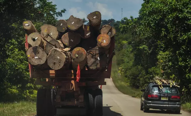 An illegal logging truck drives down a road on the outskirts of Paramaribo, Suriname, Wednesday, Sept. 30, 2026. (AP Photo/Ivan Valencia)