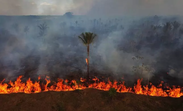 Wildfires spread near the municipality of Iranduba, Amazonas state, Brazil, Friday, Oct. 2, 2026. (AP Photo/Edmar Barros)