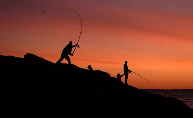 A striped bass fisherman casts his lure at dawn Saturday, Oct. 10, 2026, in Montauk, N.Y. (AP Photo/Robert F. Bukaty)