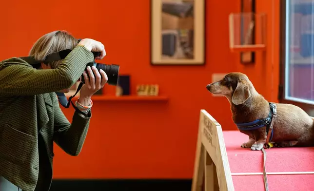 Finnish artist Elina Brotherus takes a picture of her dog, Marcello, at the opening of the exhibition "The Dachshund: An Icon off the Leash," dedicated to dachshunds in art, at Kunsthalle Bremen in Bremen, Germany, Thursday, Oct. 29, 2026. (AP Photo/Martin Meissner)