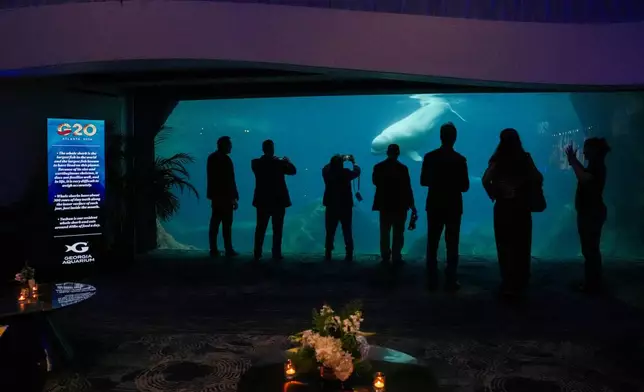 People view aquatic life at the aquarium next to a display screen ahead of the G20 Foreign Ministers Meeting Welcome Reception at the Georgia Aquarium in Atlanta, Friday, Oct. 30, 2026. (Megan Varner/Pool Photo via AP)