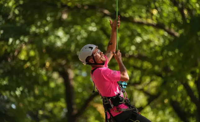 Alex Bower pulls himself up as he participates in the Aerial Rescue event, a timed competition that tests a contestant's ability to climb and safely lower an injured person, on the first day of the three-day International Tree Climbing Championship Friday, Oct. 9, 2026, in St. Louis. (AP Photo/Jeff Roberson)