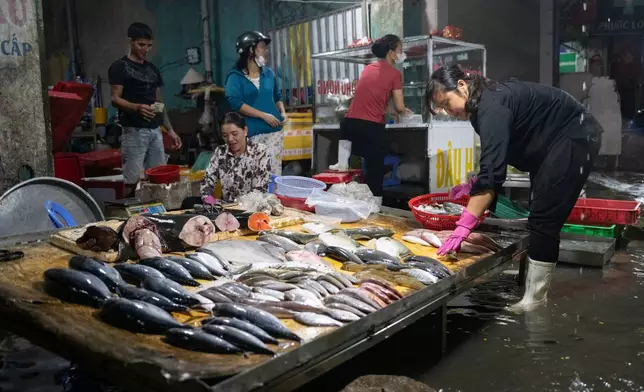 A vendor sells fish on a flooded sidewalk on Pham Huu Lau Street in Ho Chi Minh City, Vietnam, Wednesday, Sept. 30, 2026. (AP Photo/Thanh Hue)