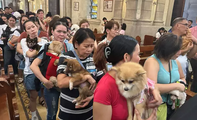 In this photo taken with a smartphone, pet owners stand in a queue to receive holy water sprinkled by a priest on pet dogs and cats during an animal blessing rites at the Malate Church in Manila, Philippines, Sunday, October. 4, 2026. (AP Photo/Joeal Calupitan)