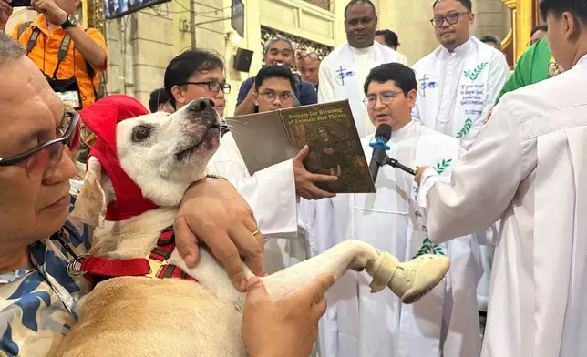 In this photo taken with a smartphone, a priest presides over blessing rituals for pet dogs and cats at the Malate Church in Manila, Philippines, Sunday, October. 4, 2026. (AP Photo/Joeal Calupitan)