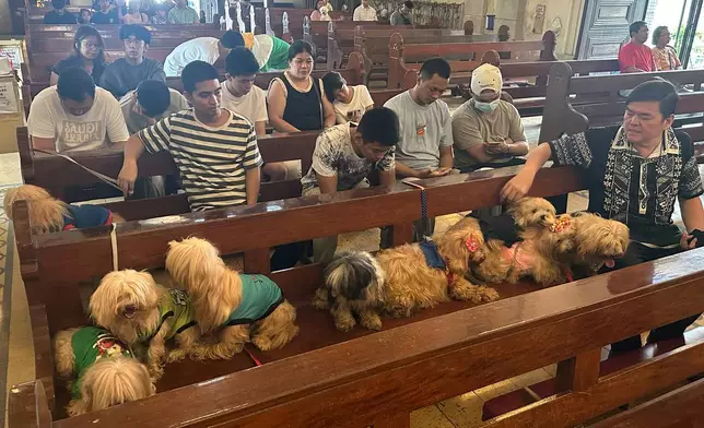 In this photo taken with a smartphone, pets wait attend a service to mark the feast day of St. Francis of Assisi, the patron saint of animals and ecology, at the Malate Church in Manila, Philippines, Sunday, October. 4, 2026. (AP Photo/Joeal Calupitan)