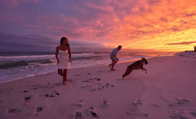 David Pipes and his bride McKenzie Hathoot play on the beach with their dog Hank and friends and family, having just arrived for their wedding weekend, as Hurricane Isaias approaches Pensacola Beach, Fla., Thursday, Oct. 8, 2026. (AP Photo/Gerald Herbert)