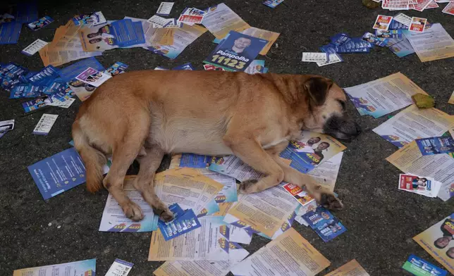 A dog sleeps on campaign leaflets outside a polling station during general elections in Rio de Janeiro, Brazil, Sunday, Oct. 4, 2026. (AP Photo/Bruna Prado)