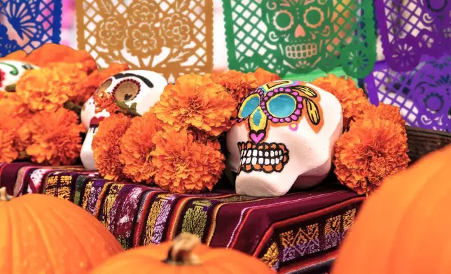 This image provided by the New York Botanical Garden shows a bright marigolds and painted decorative skulls displayed on an alter during the site's Dia de los Muertos celebration in the Bronx borough of New York. (New York Botanical Garden via AP)