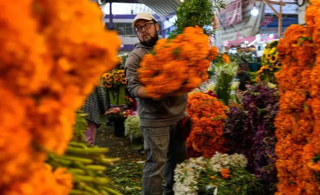 A vendor carries a bundle of cempasúchil, or marigold flowers at the Mercado de Jamaica where the blooms are sold for Day of the Dead offerings, in Mexico City, Saturday, Oct. 24, 2026. (AP Photo/Marco Ugarte)