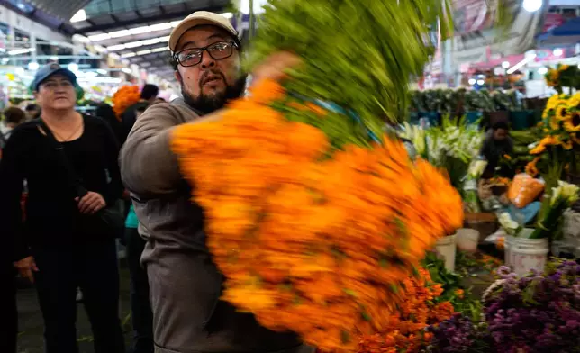 A vendor carries a bundle of cempasúchil, or marigold flowers at the Mercado de Jamaica where the blooms are sold for Day of the Dead offerings, in Mexico City, Saturday, Oct. 24, 2026. (AP Photo/Marco Ugarte)