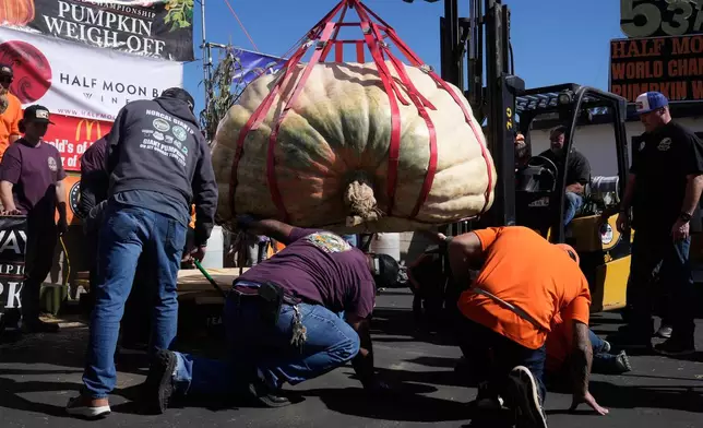 People inspect a pumpkin owned by Travis Gienger, of Anoka, Minn., which won first place at the Safeway World Championship Pumpkin Weigh-Off, Monday, Oct. 12, 2026, in Half Moon Bay, Calif. (AP Photo/Jeff Chiu)