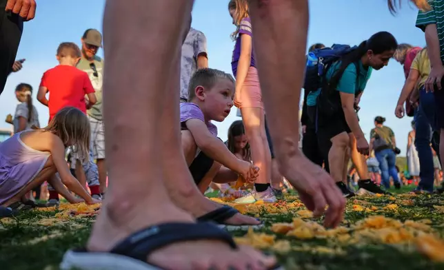 A crowd gathers to pick pumpkin seeds from the remnants of the giant pumpkin smash during the annual Harvest Festival, Sunday, Oct. 11, 2026, in Stillwater, Minn. (AP Photo/Ellen Schmidt)