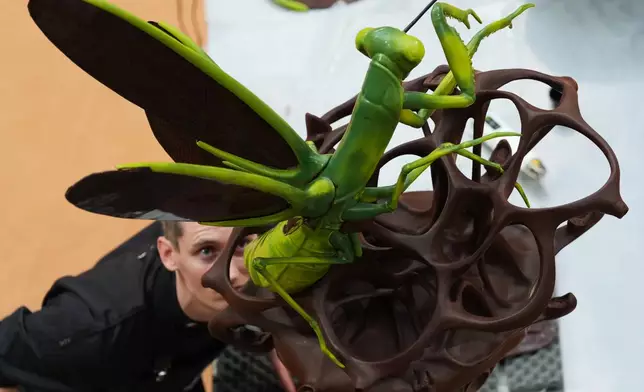 Samuel Fremaux, of France, competes with his chocolate creation depicting a praying mantis during the World Chocolate Masters event in Antwerp, Belgium, Monday, Oct. 26, 2026. (AP Photo/Virginia Mayo)