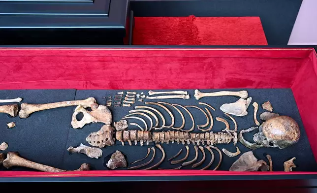 The remains of medieval ruler Czar Samuel are seen inside a coffin during a handover ceremony, in Thessaloniki, northern Greece, Saturday, Oct. 3, 2026. (AP Photo/Giannis Papanikos)