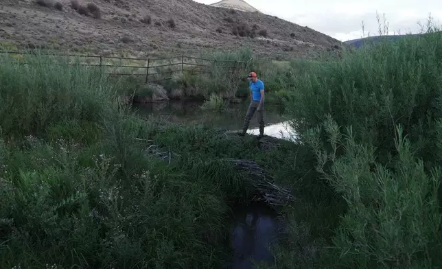 Jackson Ramsey walks over a beaver dam on his property Friday, Aug. 19, 2026, near Rock Springs, Wyo. (AP Photo/Brittany Peterson)