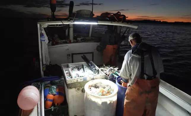 Lobsterman Steve Train at the helm of the fishing boat while his brother, Dan Train, prepares bait as they head out before dawn to check on their traps in Casco Bay, Maine, on Wednesday, Sept. 16, 2026. (AP Photo/Rodrique Ngowi.)