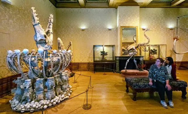 Visitors sit near a collection of bones from a Mosasaurus (70 million years old) at the Art Zoo in Amsterdam, Netherlands, on Oct. 27, 2026. (AP Photo/Patrick Post)