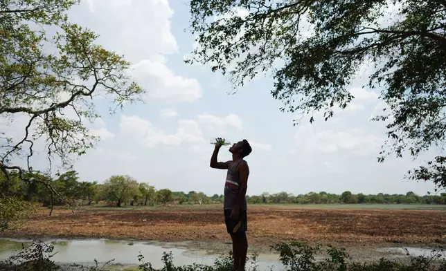 Indika Nuwankumara drinks water to quench his thirst while searching for water in an irrigation tank that dried up due to drought in Medirigiriya, Sri Lanka, Sunday, Sept. 13, 2026. (AP Photo/Eranga Jayawardena)