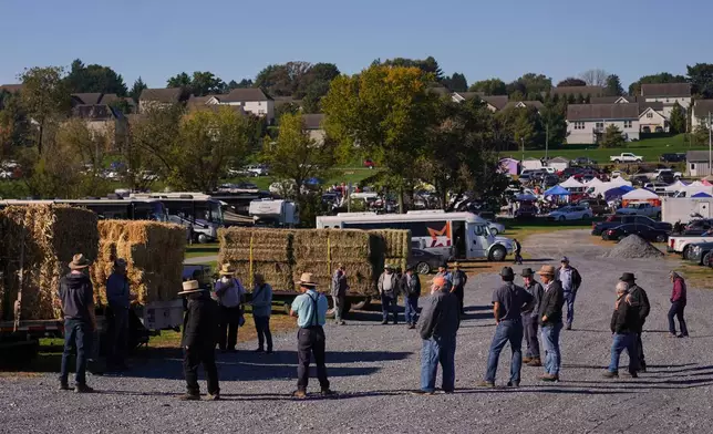 A hay auction at The Green Dragon Farmers Market and Auction in Ephrata, Pa., on Friday, Oct. 9, 2026. (AP Photo/Jessie Wardarski)