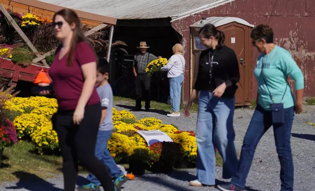 A member of the Plain community, center left, sells flowers at The Green Dragon Farmers Market and Auction in Ephrata, Pa., on Friday, Oct. 9, 2026. (AP Photo/Jessie Wardarski)