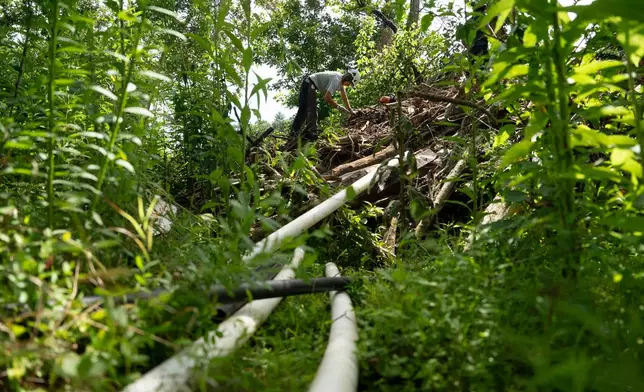 Workers from MountainTrue clear IPEX PVC pipe from the riverbank Wednesday, July 22, 2026, in Alexander, N.C. (AP Photo/Allison Joyce)