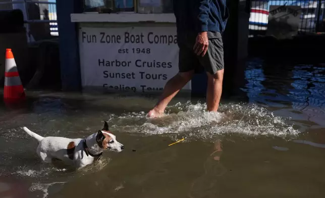 Henk Wiessner, president of Fun Zone Boat Co., with his dog Butters, walks in floodwaters in Newport Beach, Calif., Monday, Oct. 26, 2026. (AP Photo/Jae C. Hong)