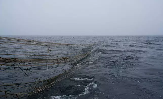 A trawl net, which can extend in the length of several football fields, stretches behind the F/V Progress in the Bering Sea off the coast of Alaska, Friday, July 24, 2026. (AP Photo/Annika Hammerschlag)