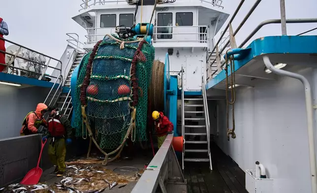 Crew members sweep pollock and jellyfish bycatch into a hatch aboard the F/V Progress in the Bering Sea off the coast of Alaska, Thursday, July 23, 2026. (AP Photo/Annika Hammerschlag)