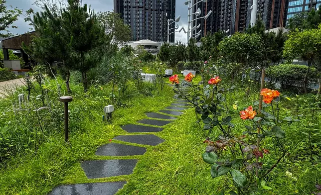 16 private properties receive Gold Awards for best landscape design and maintenance Source: HKSAR Government Press Releases