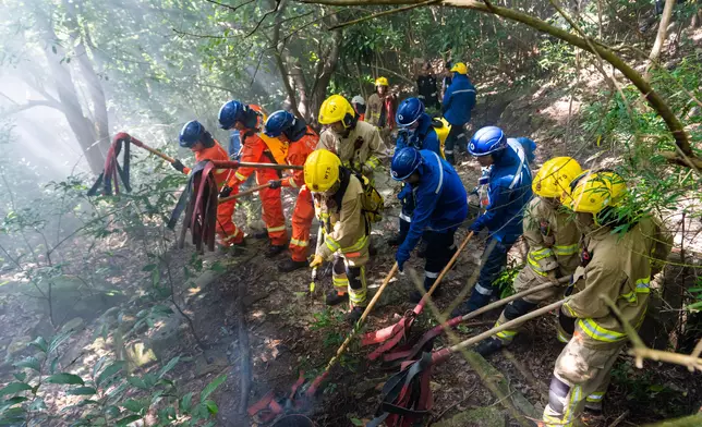 Interdepartmental vegetation fire and mountain rescue exercise 2026 held Source: HKSAR Government Press Releases
