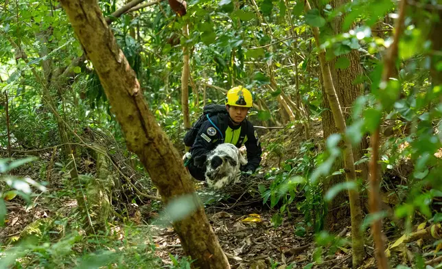 Interdepartmental vegetation fire and mountain rescue exercise 2026 held Source: HKSAR Government Press Releases
