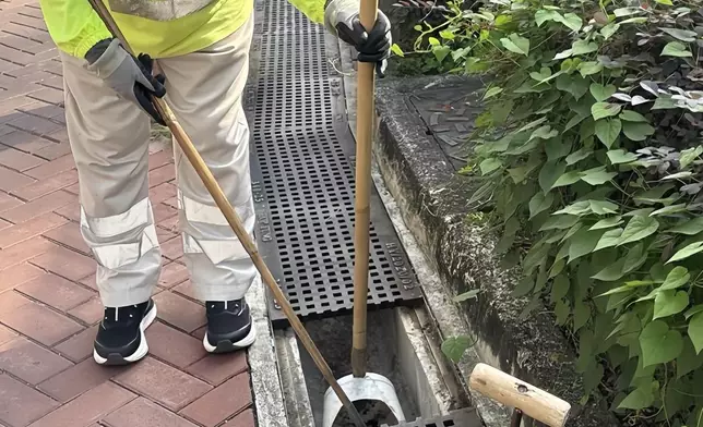 FEHD releases first batch of gravidtrap indexes for Aedes albopictus in October Source: HKSAR Government Press Releases