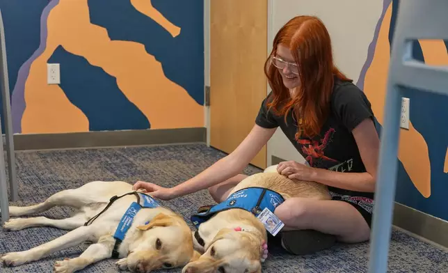 Maddie Cornwell, a senior at Evergreen High School, visits with a pair of support dogs named Polenta, left, and Norene at the school Monday, Oct. 5, 2026, in Evergreen, Colo. (AP Photo/David Zalubowski) CORRECTION: Norene, not Noreen