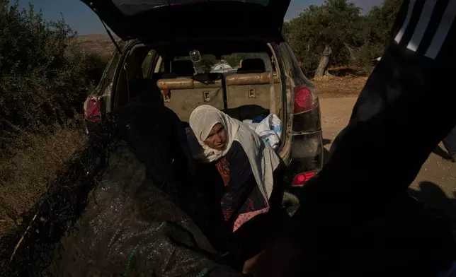 Palestinian Amal Abu Awad, 62, places the olives she collected in a bucket after local volunteers spotted Israeli settlers moving in a vehicle on a nearby dirt road, during the harvest in the West Bank town of Turmus Ayya, Sunday, Oct. 18, 2026. (AP Photo/Leo Correa)