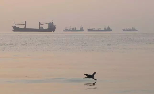 A bird flies low over the water as cargo ships lie at anchor in the Strait of Hormuz off Bandar Abbas, Iran, early Saturday, Oct. 24, 2026. (Amirhosein Khorgooi/ISNA via AP)