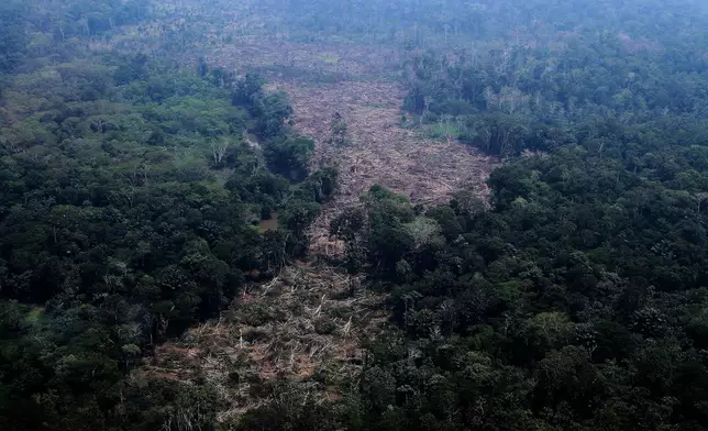 FILE - Trees lie in a deforested area of the Amazon rainforest in the municipality of Autazes, Amazonas state, Brazil, Oct. 15, 2026. (AP Photo/Edmar Barros, File)