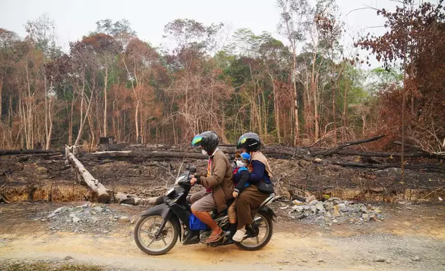 People ride a motorcycle past peatlands damaged by wildfires in Sekadau, West Kalimantan, Indonesia, Saturday, Sept. 12, 2026. (AP Photo/Tatan Syuflana)