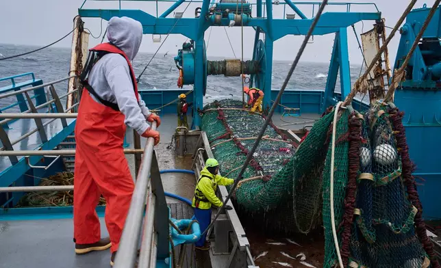 Crew members haul in a catch aboard the F/V Progress in the Bering Sea off the coast of Alaska, Wednesday, July 22, 2026. (AP Photo/Annika Hammerschlag)