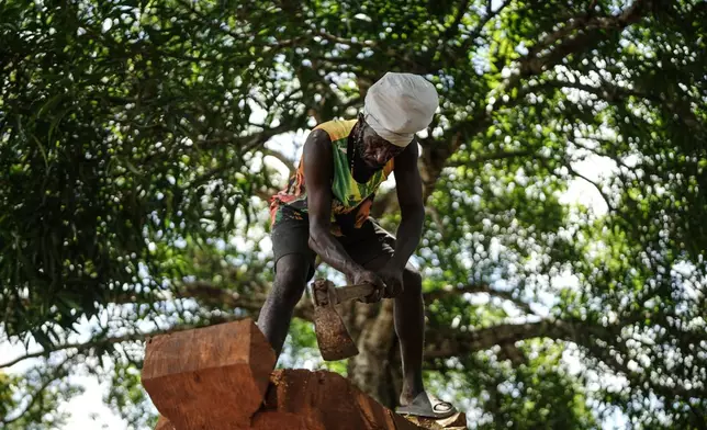 Josasath Liefde, a wood carver, chops wood in Pikienslee, Suriname, Monday, Sept. 28, 2026. (AP Photo/Ivan Valencia)