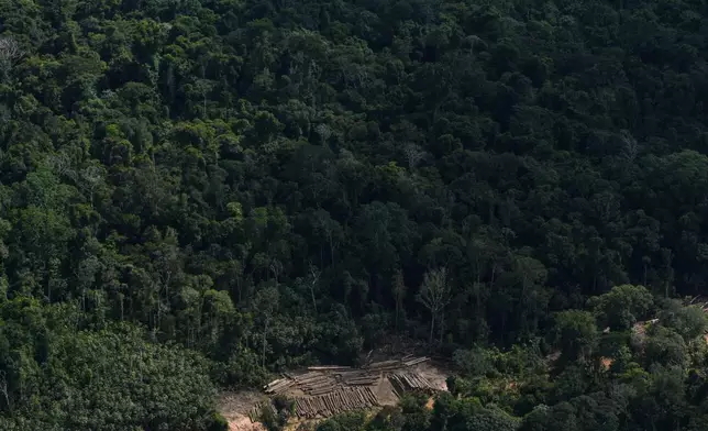 An illegal logging camp is visible in the Saamaka territory of the Amazon rainforest Wednesday, Sept. 30, 2026. (AP Photo/Ivan Valencia)