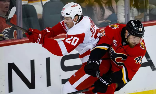 Detroit Red Wings' Albert Johansson, left, is checked by Calgary Flames' Adam Klapka during third period NHL hockey action in Calgary, Alberta, Saturday, Oct. 24, 2026. (Jeff McIntosh/The Canadian Press via AP)