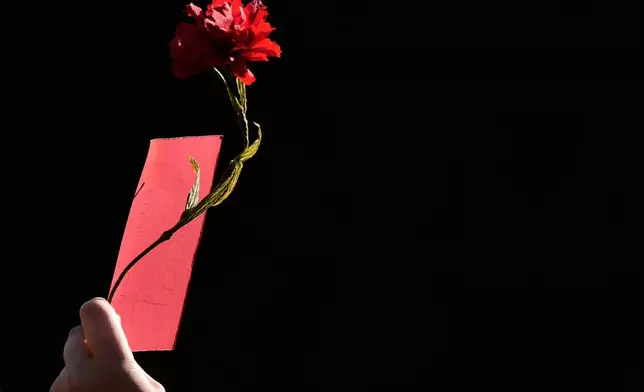 A person raises a carnation during a protest to demand affordable housing in Lisbon, Portugal, Saturday, Oct. 24, 2026. (AP Photo/Ana Brigida)