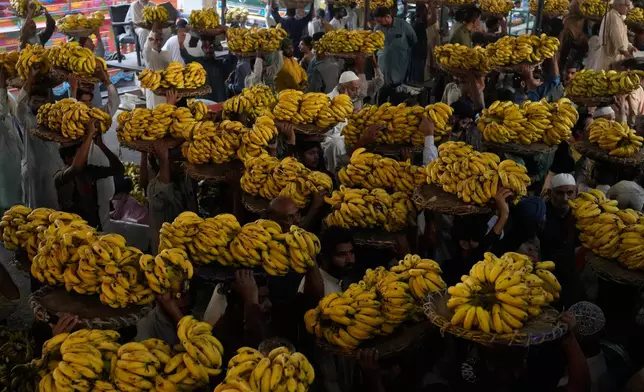 Pakistani laborers carry bananas on their head at a fruit market, in Lahore, Pakistan, Thursday, Oct. 1, 2026. (AP Photo/K.M. Chaudary)