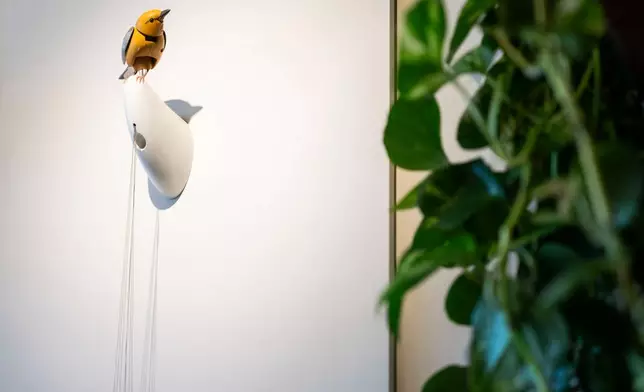 Molly, a singing and dancing mechanical bird, by Bliss Kolb, is displayed at Art of Play, Tuesday, Oct. 13, 2026, in the Brooklyn borough of New York. (AP Photo/Yuki Iwamura)